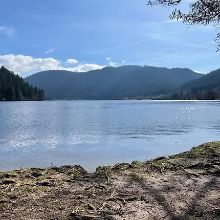 L'alcove - Avec Piscine * Xonrupt-Longemer